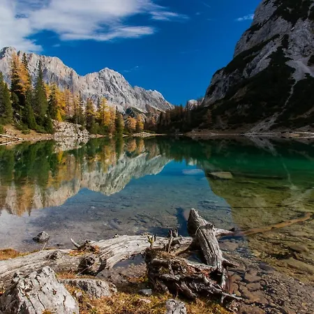 シャレー Antoinette