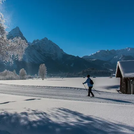 シャレー Antoinette *