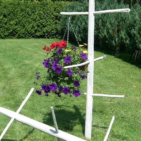 シャレー Antoinette ビーバーヴィアー